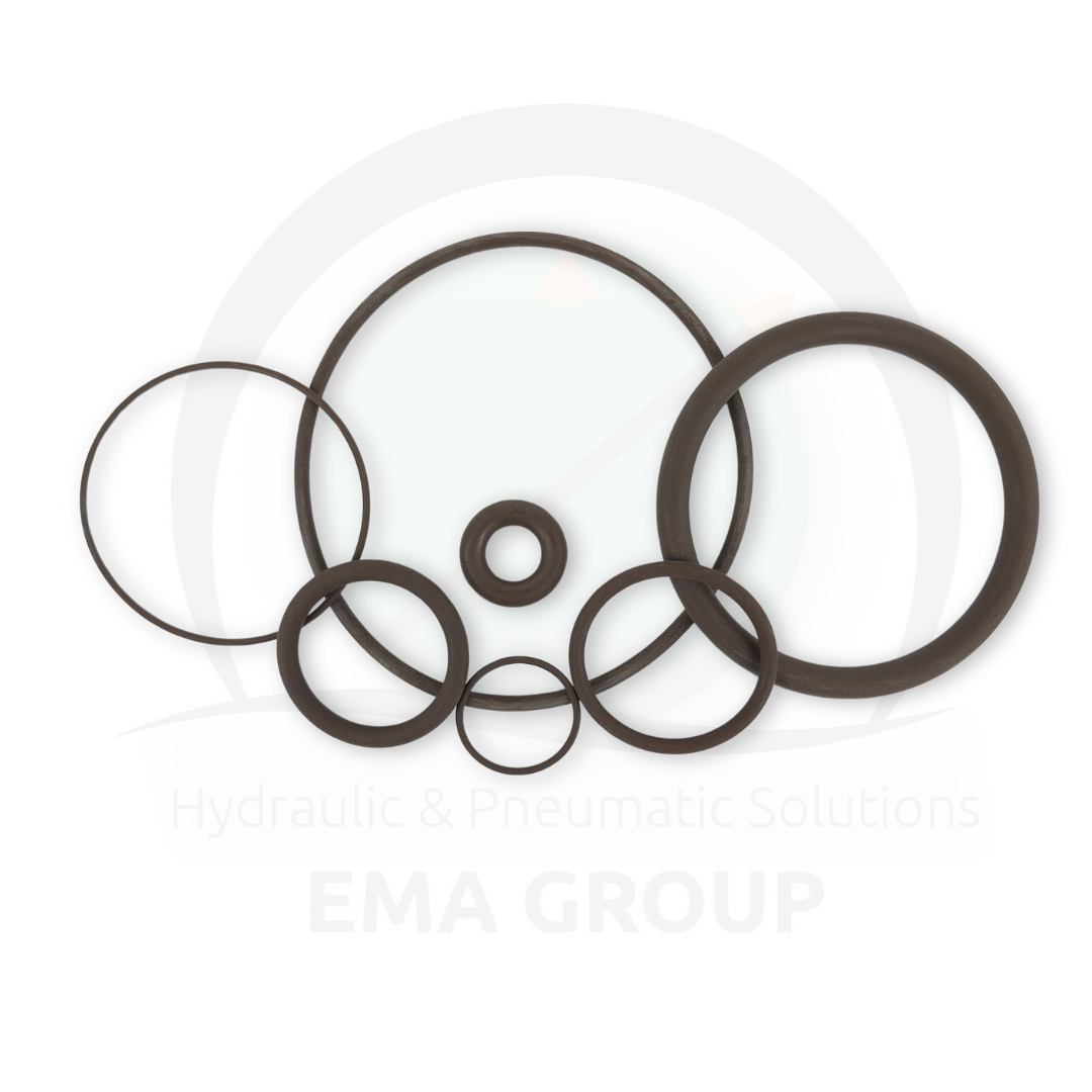 2 O-Ring Viton 99*4 - Image 1