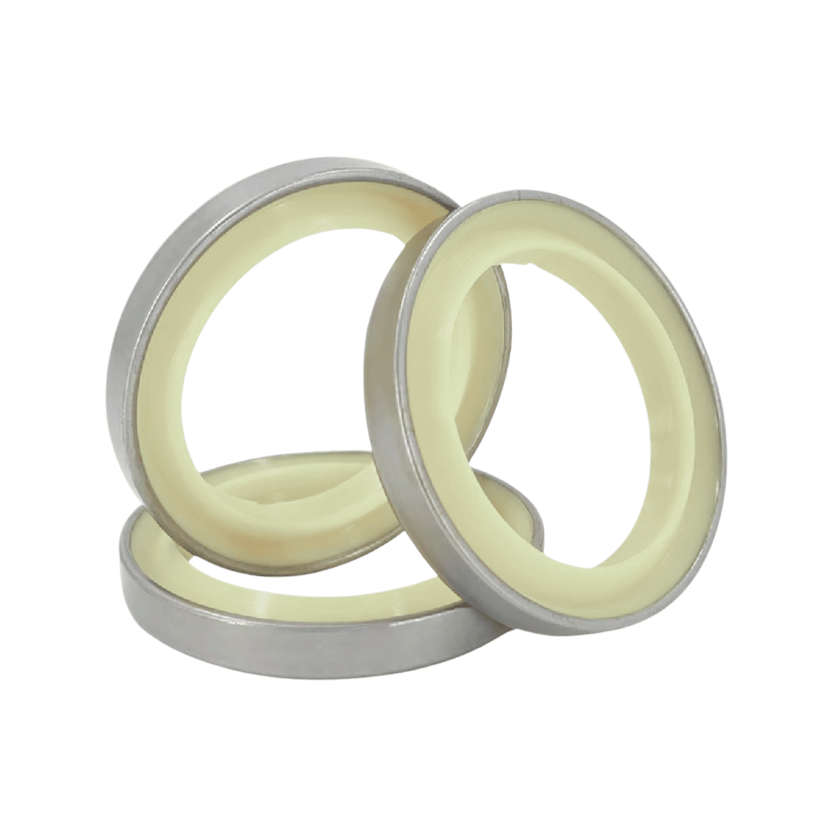 Dust Seals