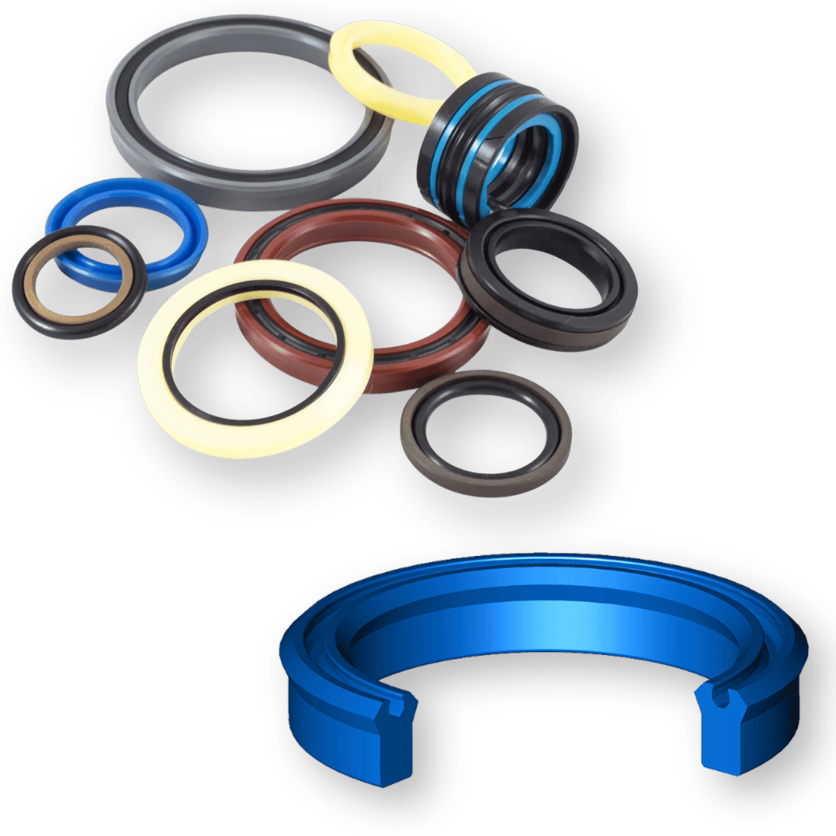 Piston & Rod Seals